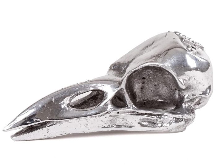 Bird Skull Decorative Object, Seletti