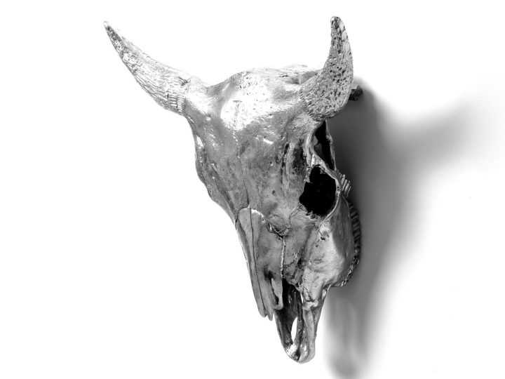 Bison Skull Decorative Object, Seletti
