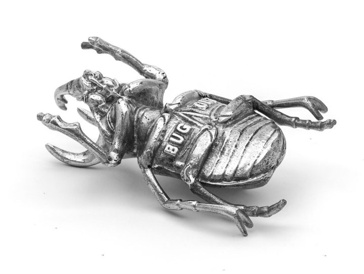 Bug Decorative Object, Seletti