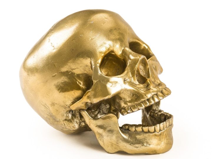Human Skull Decorative Object, Seletti