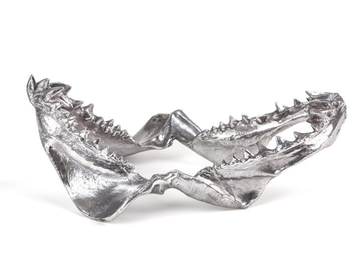 Shark Jaw Decorative Object, Seletti