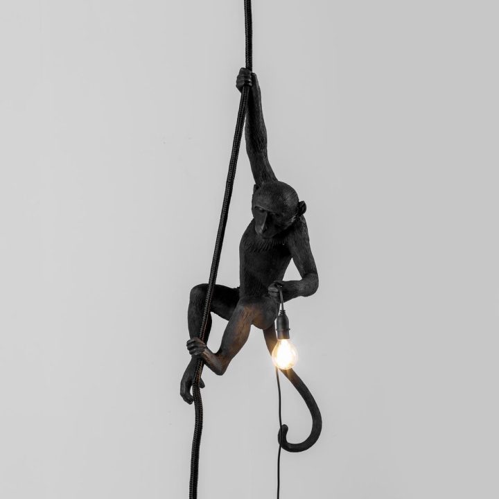 The Monkey Lamp Black Ceiling Outdoor Pendant Lamp, Seletti