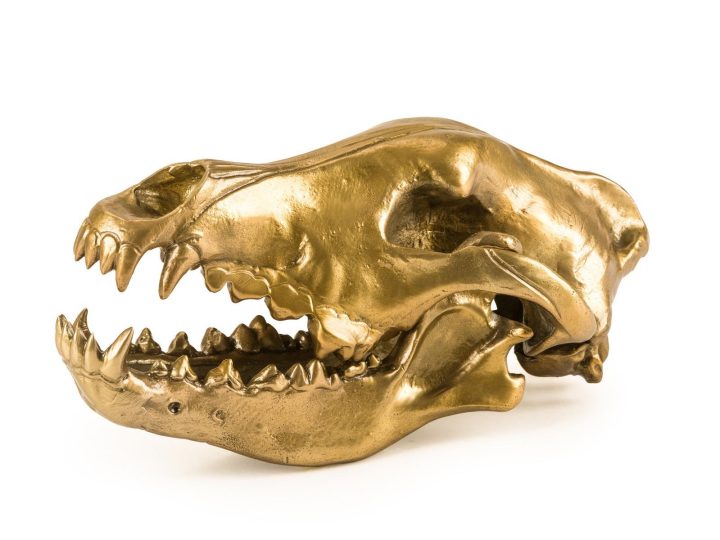 Wolf Skull Decorative Object, Seletti