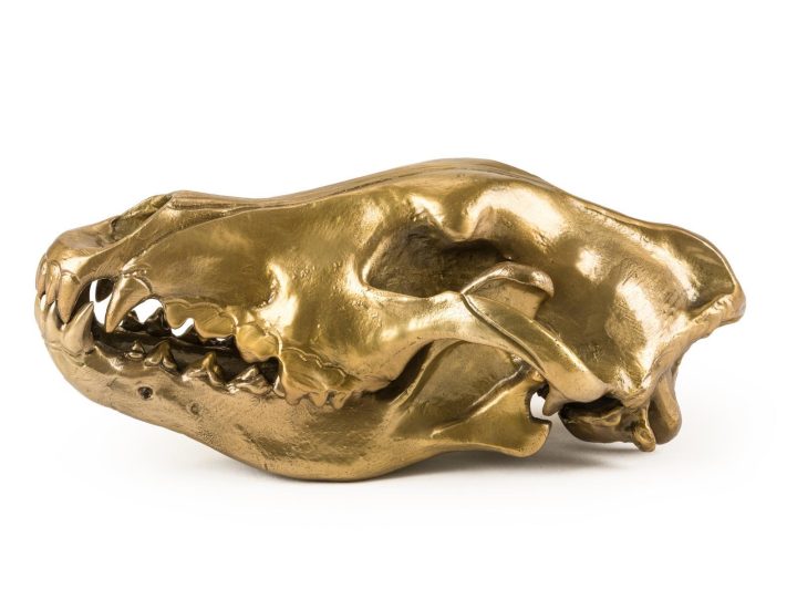 Wolf Skull Decorative Object, Seletti