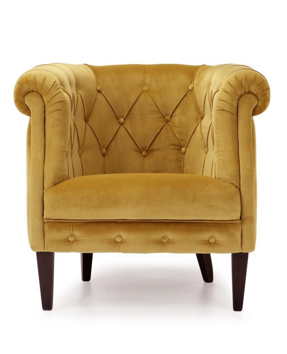 203 Armchair Domingo Salotti