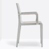 Young 425 Chair Pedrali
