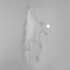 The Monkey Lamp Hanging Outdoor Wall Lamp Seletti