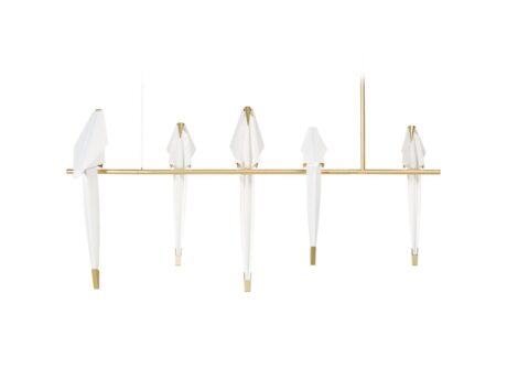 Perch Light Branch