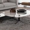 Rays Coffee Table Minotti