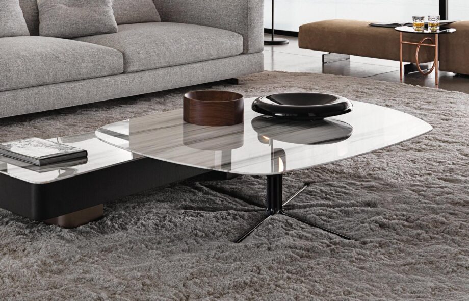 Rays Coffee Table Minotti