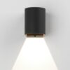 Dunbar 100 Outdoor Wall Lamp Astro Lighting