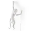 The Monkey Lamp Hanging
