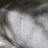 Euston Pouf Molteni