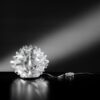 Cactus Prisma Table Lamp Slamp