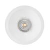 Lark 111 Spotlight Arkoslight