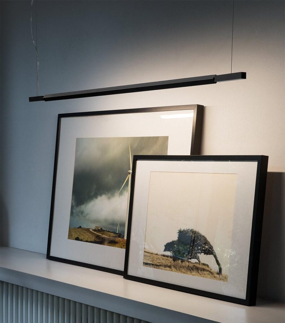 Linescapes Horizontal Pendant Lamp Nemo