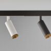 Beam Master Track Track Light Olev