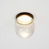 Dropz Ceiling Lamp Dark