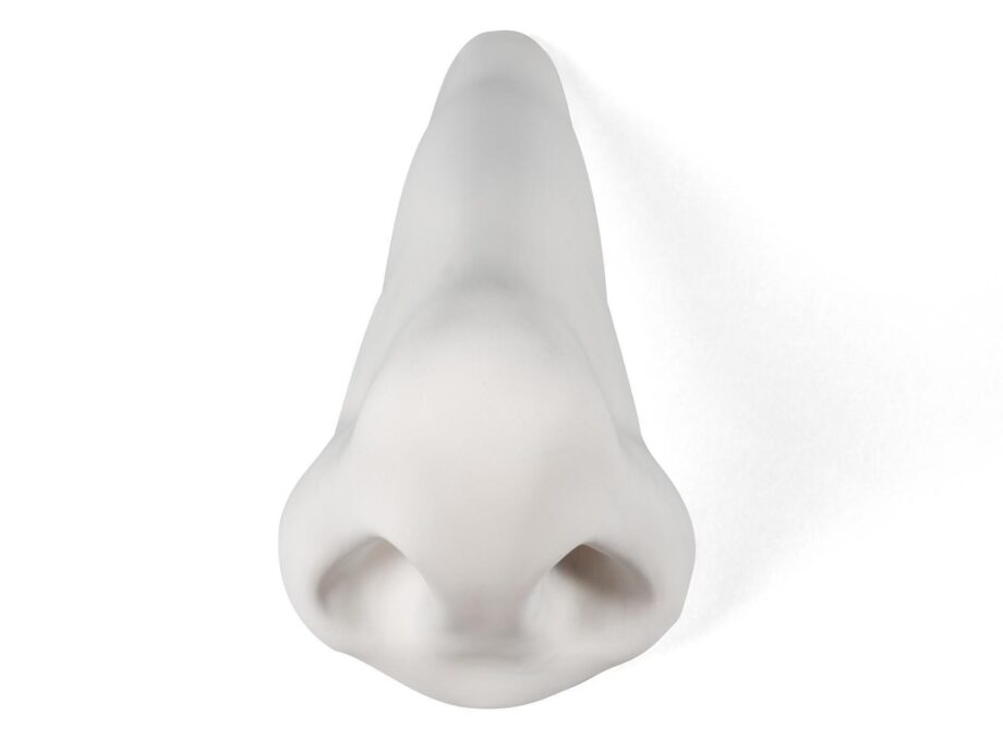 Nose Decorative Object Seletti
