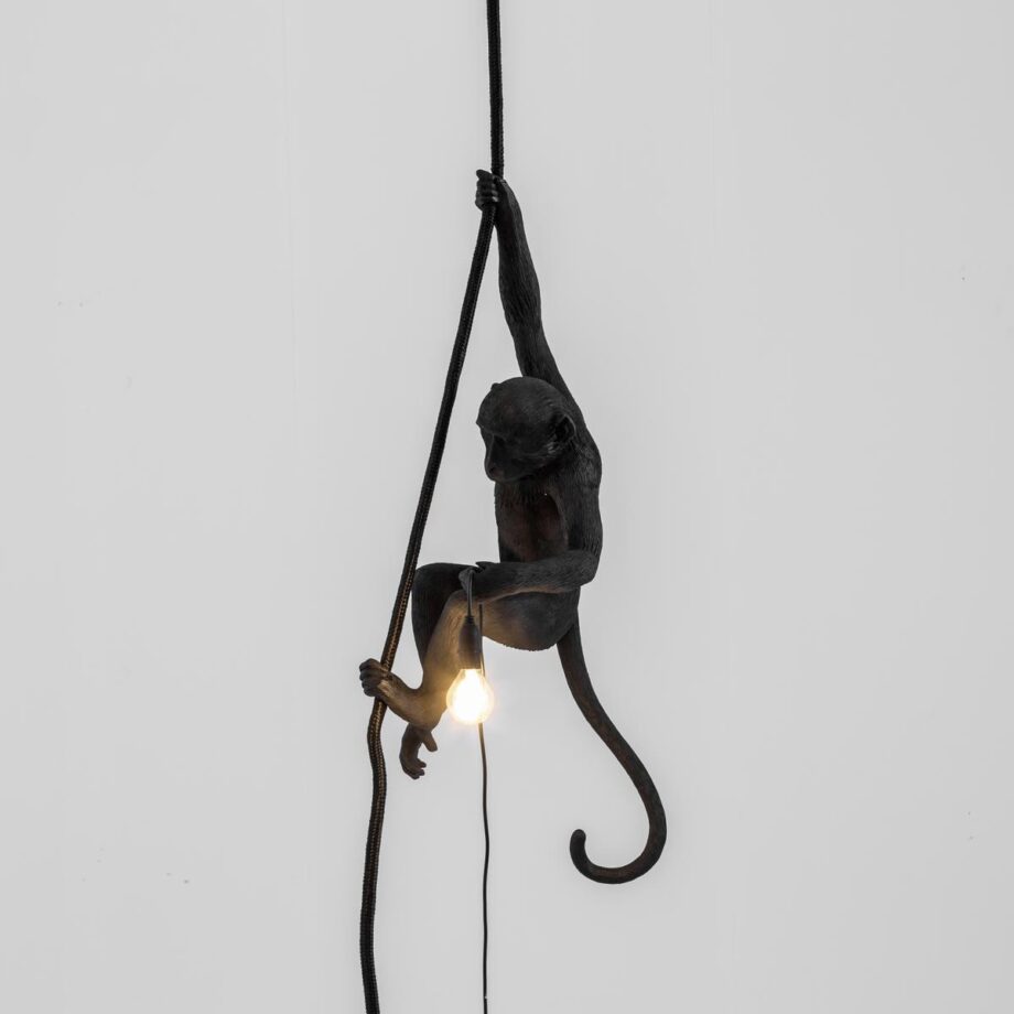 The Monkey Lamp Black Ceiling Outdoor Pendant Lamp Seletti