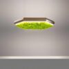 Exagon Silence Green Pendant Lamp Olev