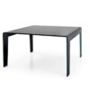Frog Table Sovet