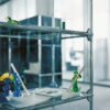 Haller Glas Shelving And Showcases Bookcase Usm