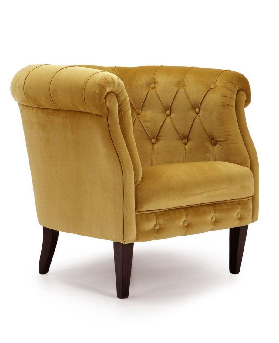 203 Armchair Domingo Salotti