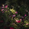 Zoe Outdoor Floor Lamp Olev