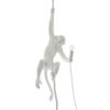 The Monkey Lamp Ceiling Outdoor Pendant Lamp Seletti