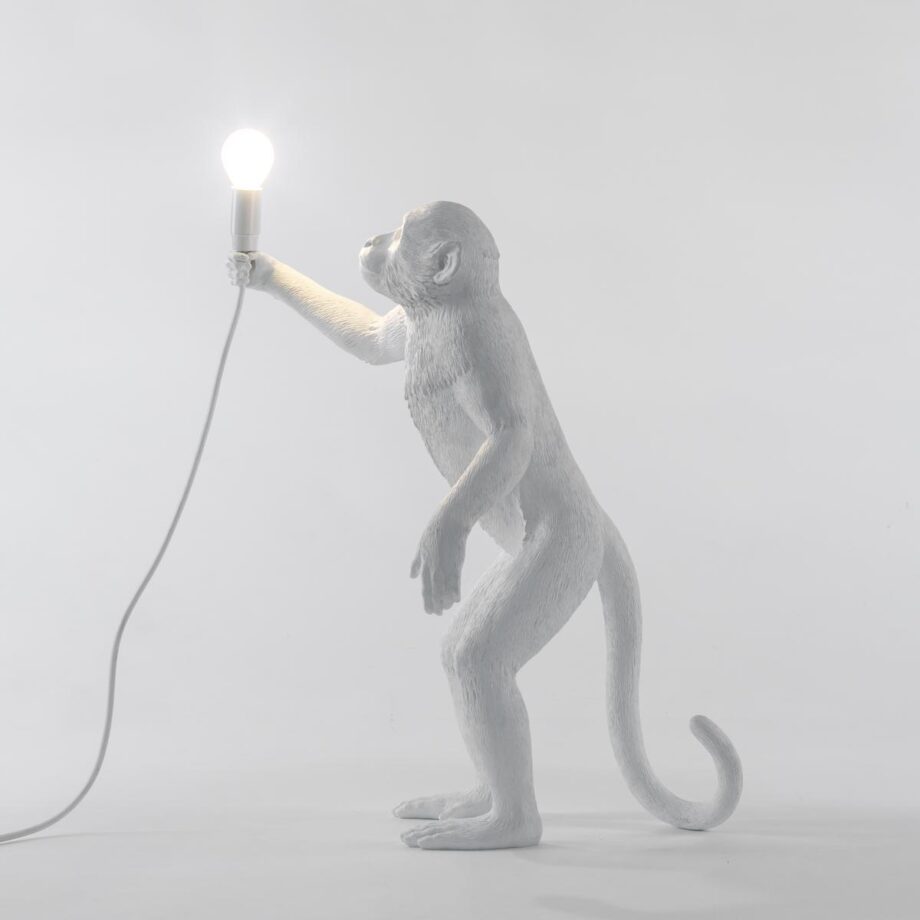 The Monkey Lamp Standing Outdoor Floor Lamp Seletti
