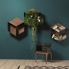 Pangea Bookcase Tonin Casa