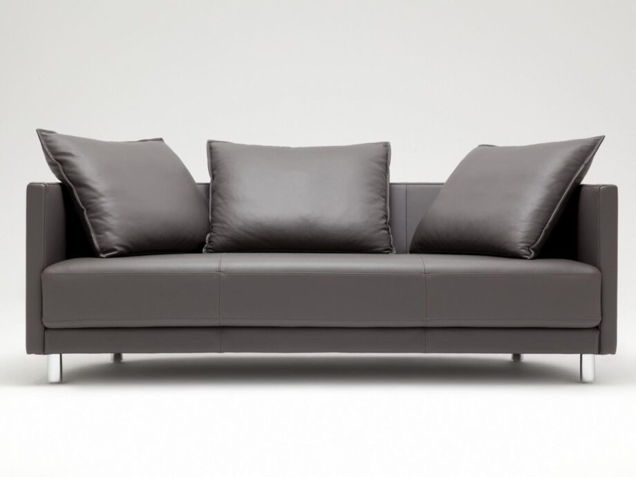 005 Onda Sofa Rolf Benz