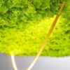 Green Silence Pendant Lamp Olev