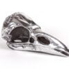 Bird Skull Decorative Object Seletti