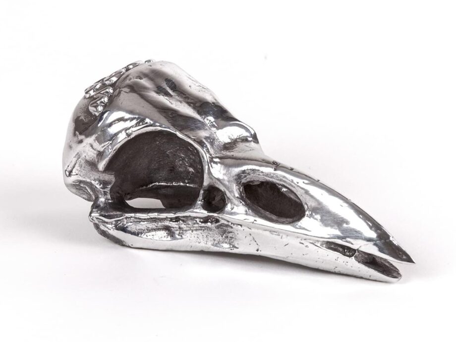 Bird Skull Decorative Object Seletti