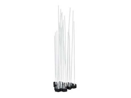 Reeds Outdoor
