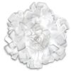 Clizia Medium Wall Lamp Slamp