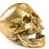 Human Skull Decorative Object Seletti