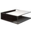 Fil Rouge Coffee Table Natuzzi Italia