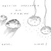 Cloudy Ceiling Lamp Fabbian