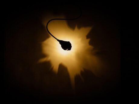 Luce Che Dipinge