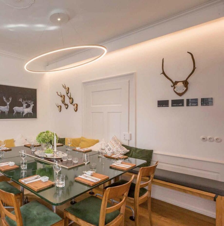 Slim Ellipse Pendant Lamp Sattler