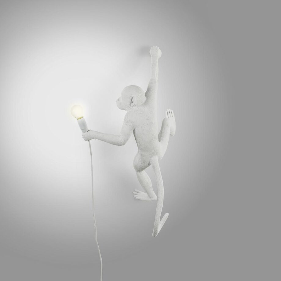 The Monkey Lamp Hanging Outdoor Wall Lamp Seletti