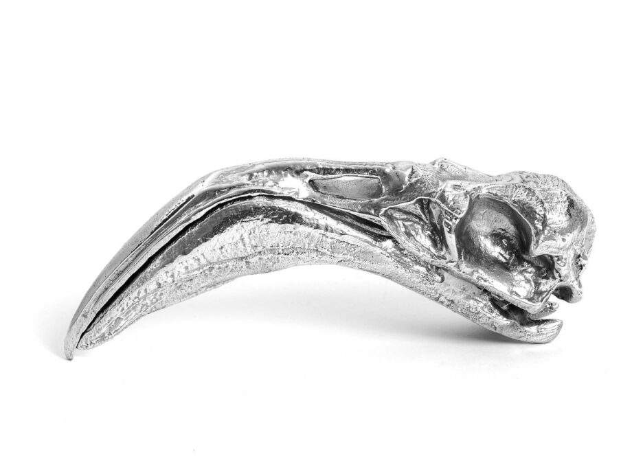 Flamingo Skull Decorative Object Seletti