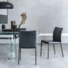 Norma Chair Cattelan Italia
