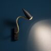 Cicloitalia Flex W1 Wall Lamp Catellani Smith