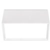 Block Large Ceiling Lamp Arkoslight
