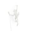 The Monkey Lamp Hanging Outdoor Wall Lamp Seletti