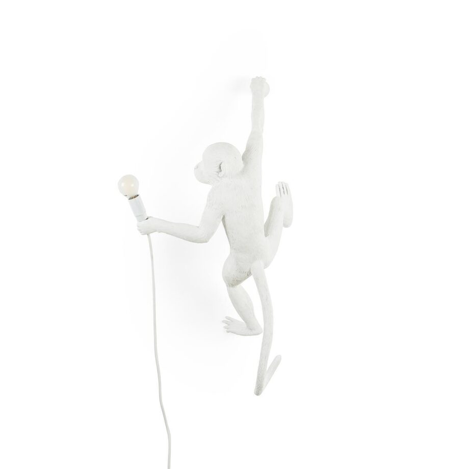 The Monkey Lamp Hanging Outdoor Wall Lamp Seletti